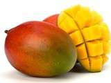 Mangue