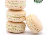 Macarons au Jasmin