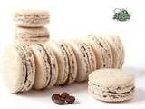 Macarons Noisettes-Café