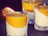 Panacotta Mangue Passion