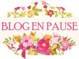 Blog en pause