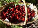 Confiture de cerises