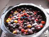 Clafoutis aux cerises