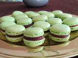 Macarons menthe-chocolat