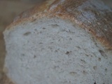 Toujours du pain au levain