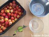 Faire ses conserves de compote de pommes