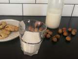 Faire son lait de noisettes maison