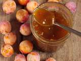 Confiture de mirabelles