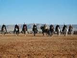 Algerie Fantasia à tiaret