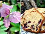 Cake aux cranberries, raisons blonds et myrtilles