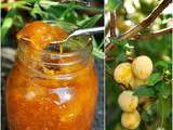 Confiture de mirabelles aux épices à pain d'épices