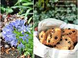 Cookies au beurre de cacahuète et pépites de chocolat noir de LadySyanne