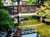 Doria aux Etats Unis dans l'Oregon (2016 - 12)... Lan Su Chinese Garden Portland