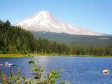 Doria aux Etats Unis dans l'Oregon (2016 - 2)... Lac Trillium avec vue sur le Mount Hood