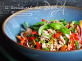 Laab : Salade de porc haché