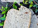 Pain de campagne aux graines Up