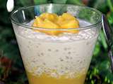 Perles du Japon au lait de coco et Mangue