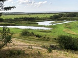 Picardie, 3 jours en Baie de Somme... Le Parc de Marquenterre