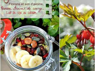 Porridge aux flocons et son d'avoine, graines de chia, fruits secs et banane