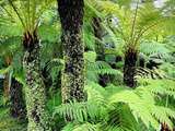 Road Trip en Ecosse... Botanic Garden of Glasgow