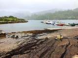 Road Trip en Ecosse... Plockton