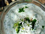 Sauce au yaourt grec & ail des ours