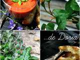 Soupe froide de tomates et fenouil