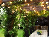 Terrasse Pergola avec ses roses et ses vignes