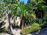 Week-End à Montpellier (2)... Jardin des Plantes