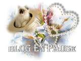 Blog en pause