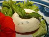 Mousse mozzarella-basilic