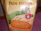 Pain Paysan