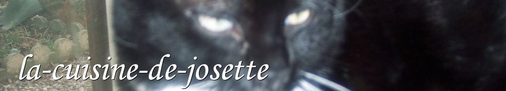 Recettes de la-cuisine-de-josette