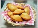 Madeleine géante au miel / hommage à charlotte du blog  les recettes de la débrouille 