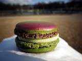 Dégustation babas au rhum de Pierre Hermé et nouveauté macaron