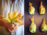 Fleurs de courgettes farcies