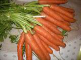 Carottes roties au miel jus d' orange et cumin