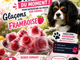 Glaçons à la framboise