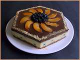 Entremet aux myrtilles et abricots et chocolat