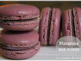 Macarons aux mûres et chocolat blanc