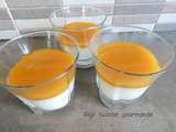 Panna cotta allégée mangue au compact cook pro - Gigi cuisine pour vous