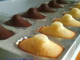 Madeleines