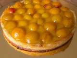 Tarte aux mirabelles (le fruit avant tout)