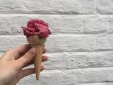 Glace au cassis maison