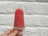 Popsicles à la pastèque maison