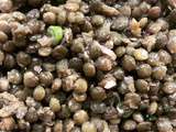 Salade de lentilles au cumin