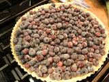 Tarte aux bleuets (myrtilles) et chocolat