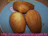 Madeleines aux citrons