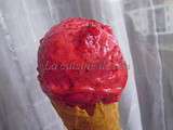 Sorbet aux fruits rouges (Thermomix)