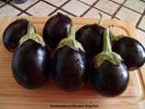 Aubergines baby autrement